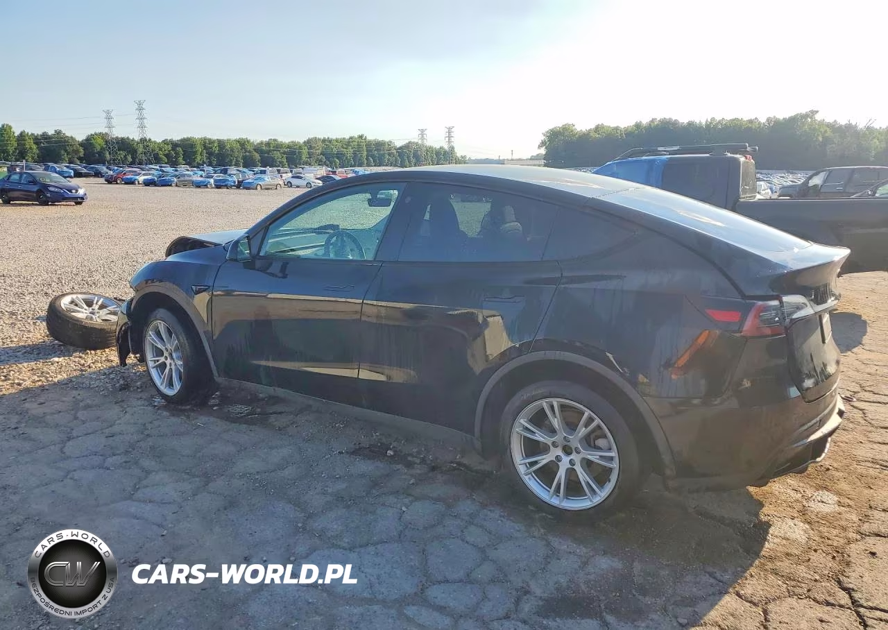 2023 Tesla Model Y VIN:7SAYGDEE6PA058586 - 2