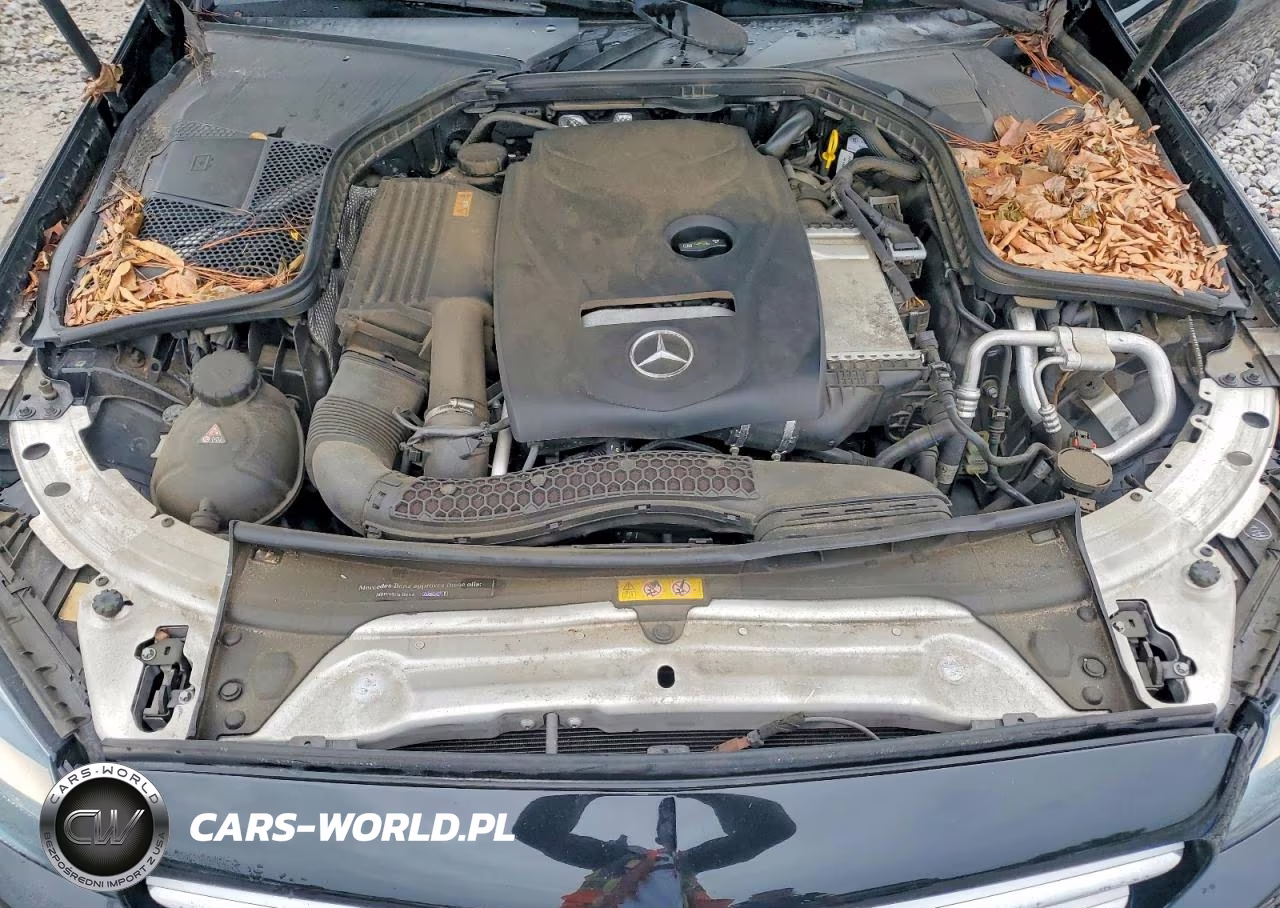 2017 Mercedes-Benz C 300 VIN:55SWF4JB0HU210206 - 11