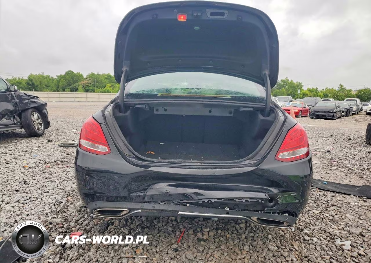 2017 Mercedes-Benz C 300 VIN:55SWF4JB0HU210206 - 6