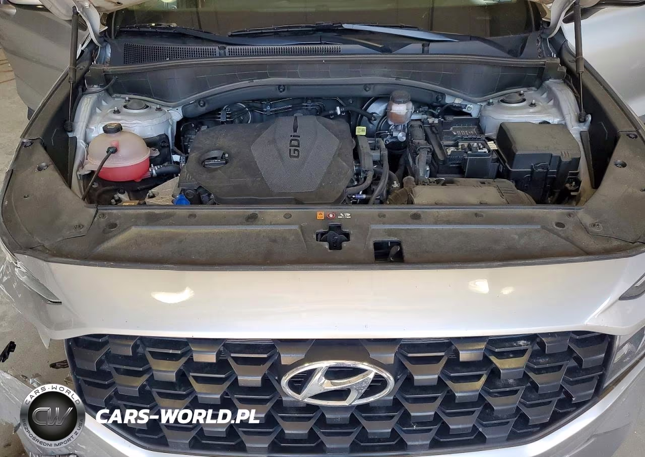 2023 Hyundai Santa Fe VIN:5NMS24AJ0PH545630 - 12