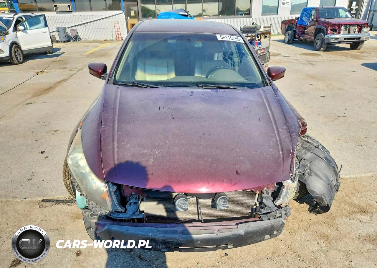 2009 Honda Accord Exl VIN:1HGCP26869A030114 - 5