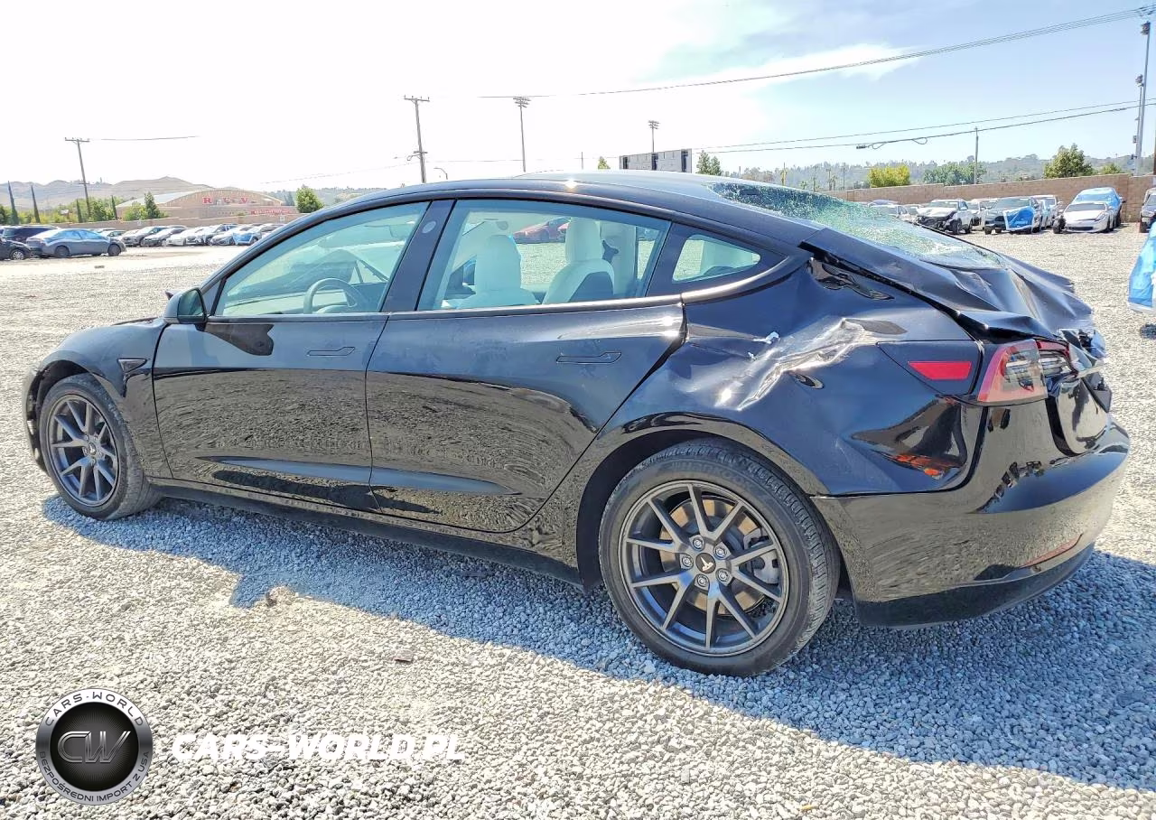 2022 Tesla Model 3 VIN:5YJ3E1EA6NF330031 - 2