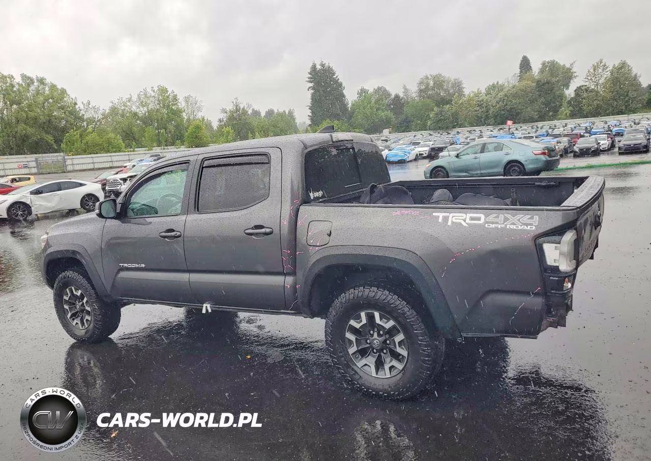 2019 Toyota Tacoma Trd Off-Road VIN:3TMCZ5ANXKM251604 - 2
