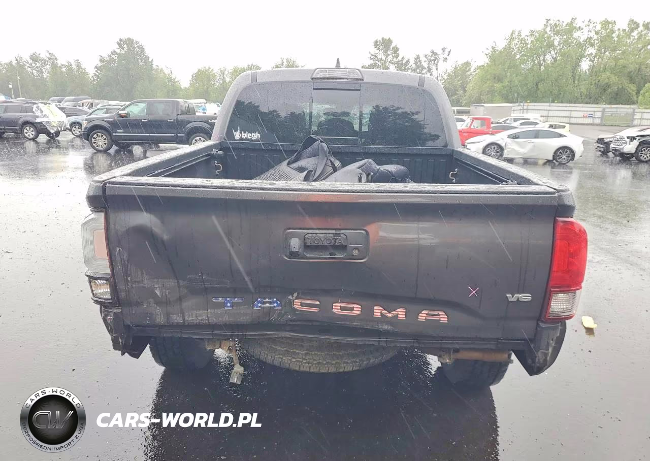 2019 Toyota Tacoma Trd Off-Road VIN:3TMCZ5ANXKM251604 - 6