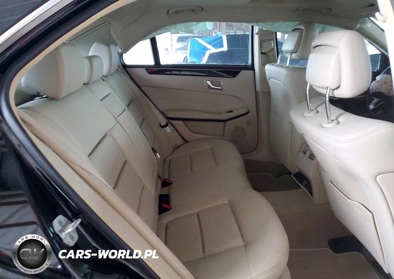 2016 Mercedes-Benz E 250 Bluetec VIN:WDDHF0EB3GB243771 - 10