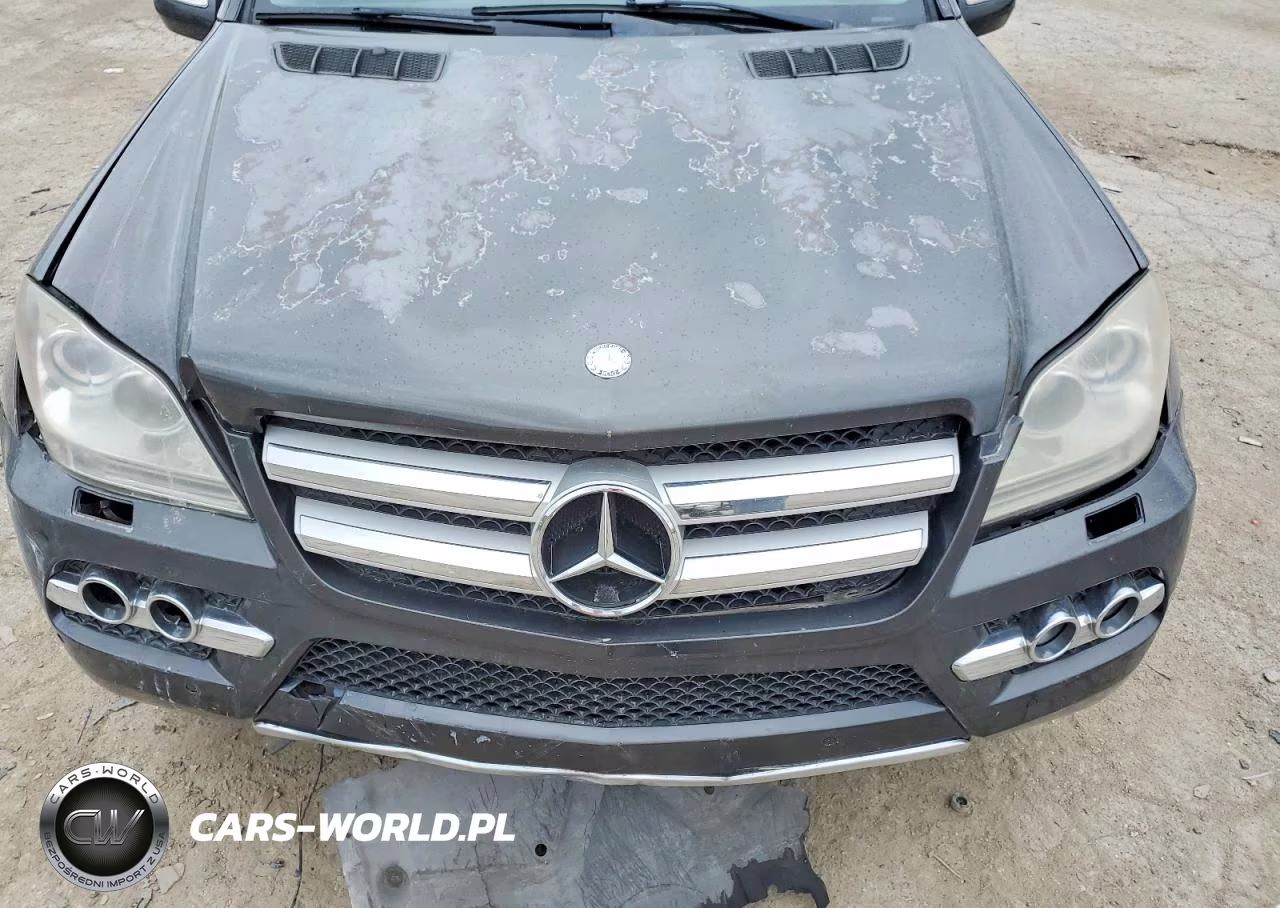 2010 Mercedes-Benz Gl 450 4Matic VIN:4JGBF7BE8AA604752 - 12