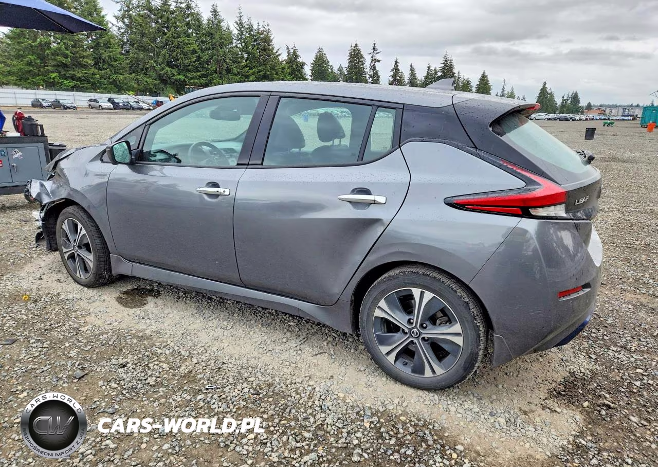2020 Nissan Leaf Sl Plus VIN:1N4BZ1DP8LC309803 - 2