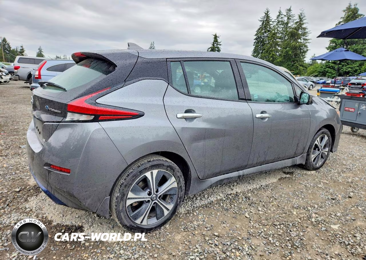 2020 Nissan Leaf Sl Plus VIN:1N4BZ1DP8LC309803 - 3