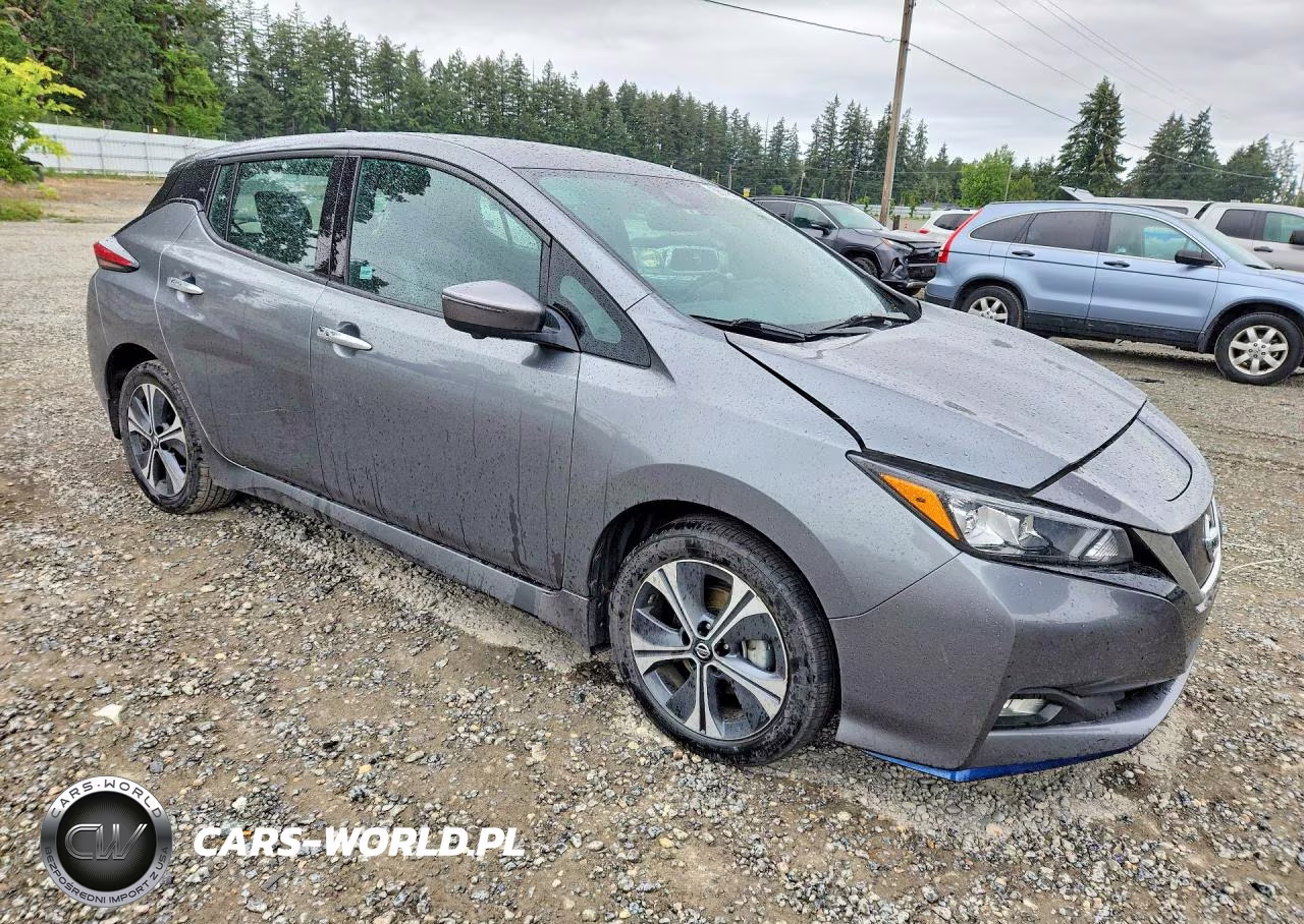 2020 Nissan Leaf Sl Plus VIN:1N4BZ1DP8LC309803 - 4