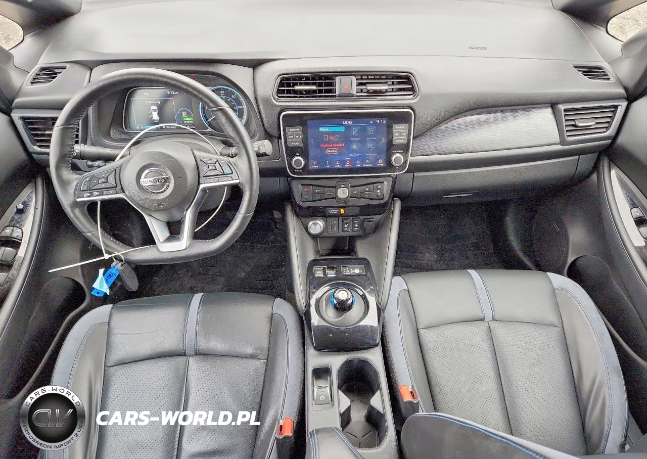 2020 Nissan Leaf Sl Plus VIN:1N4BZ1DP8LC309803 - 8