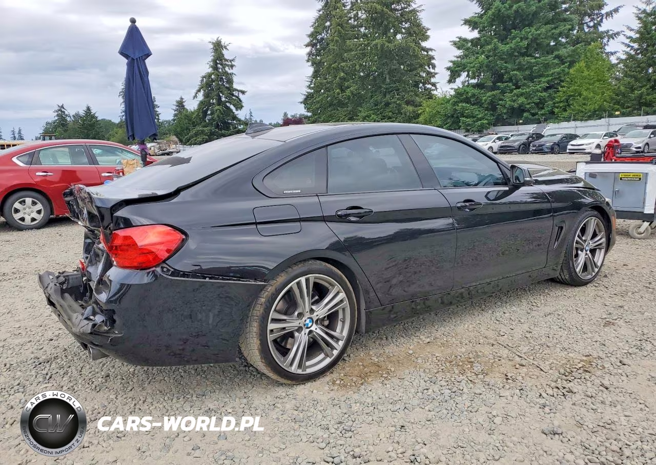 2015 BMW 435 I Gran Coupe VIN:WBA4B1C51FD955543 - 3