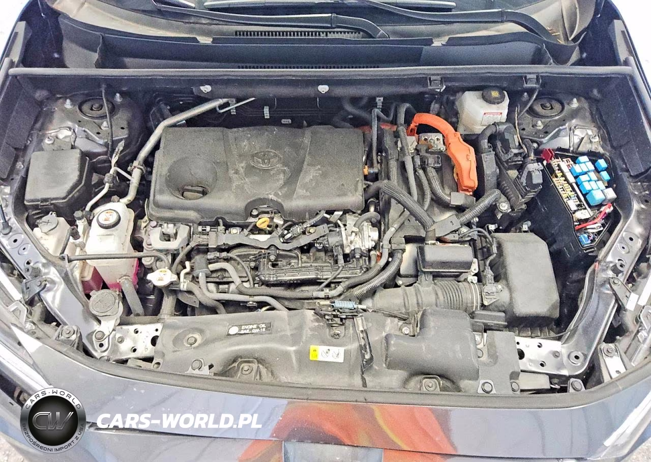 2024 Toyota Rav4 Hybrid Xle VIN:4T3RWRFV8RU121980 - 11