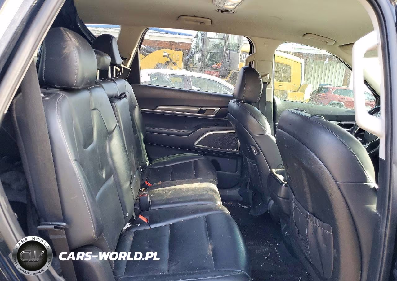 2020 Kia Telluride Lx VIN:5XYP24HC2LG069057 - 10
