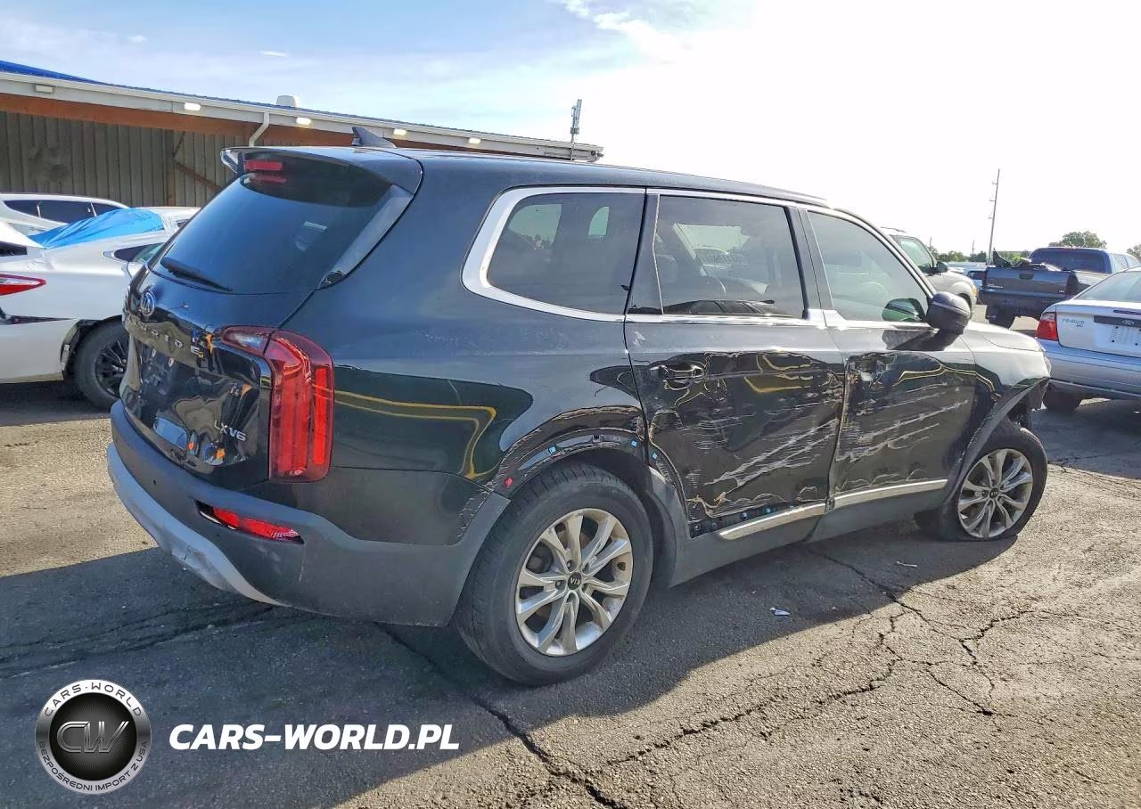 2020 Kia Telluride Lx VIN:5XYP24HC2LG069057 - 3