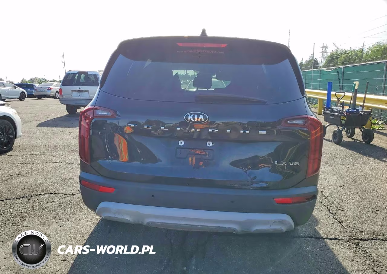 2020 Kia Telluride Lx VIN:5XYP24HC2LG069057 - 6