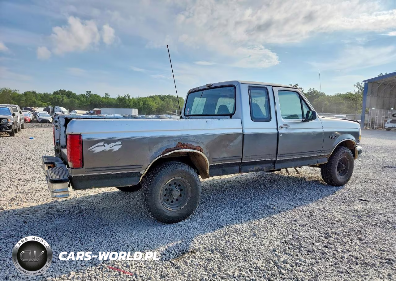 1993 Ford F150 VIN:1FTEX14N7PKB28537 - 3