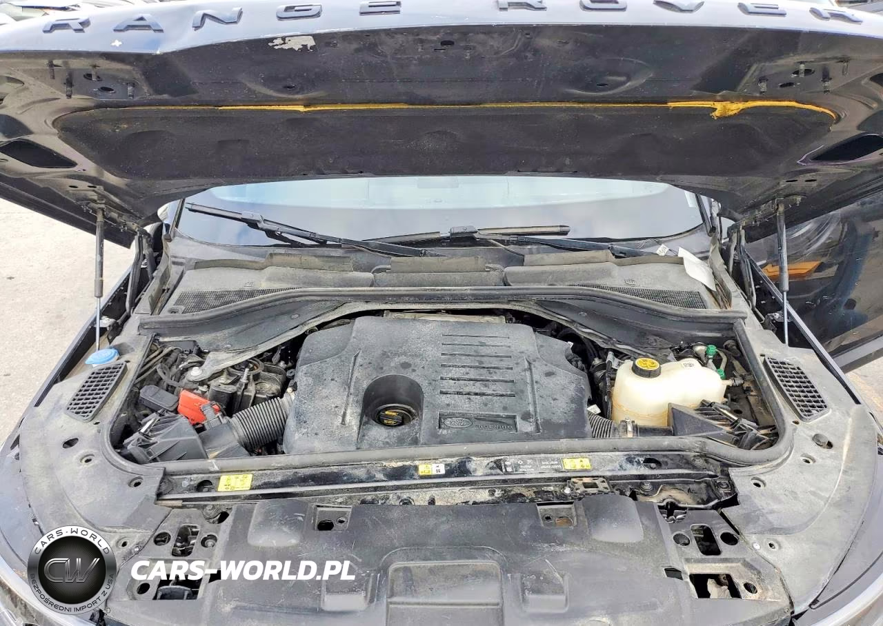 2025 Land Rover Range Rover Sport Se VIN:SAL1P9EU5SA431469 - 12