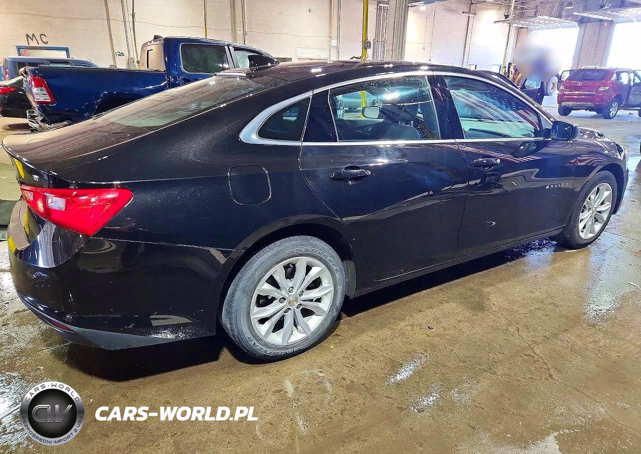 2024 Chevrolet Malibu Lt VIN:1G1ZD5ST4RF164919 - 3