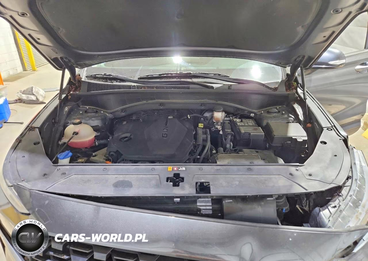 2023 Hyundai Santa Fe Sel VIN:5NMS2DAJ3PH530541 - 12