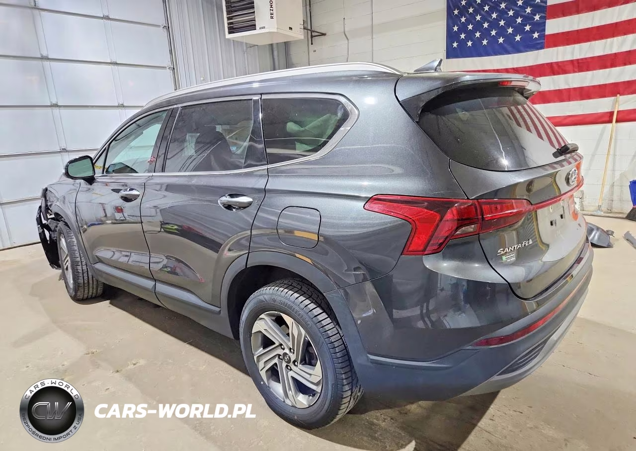 2023 Hyundai Santa Fe Sel VIN:5NMS2DAJ3PH530541 - 2