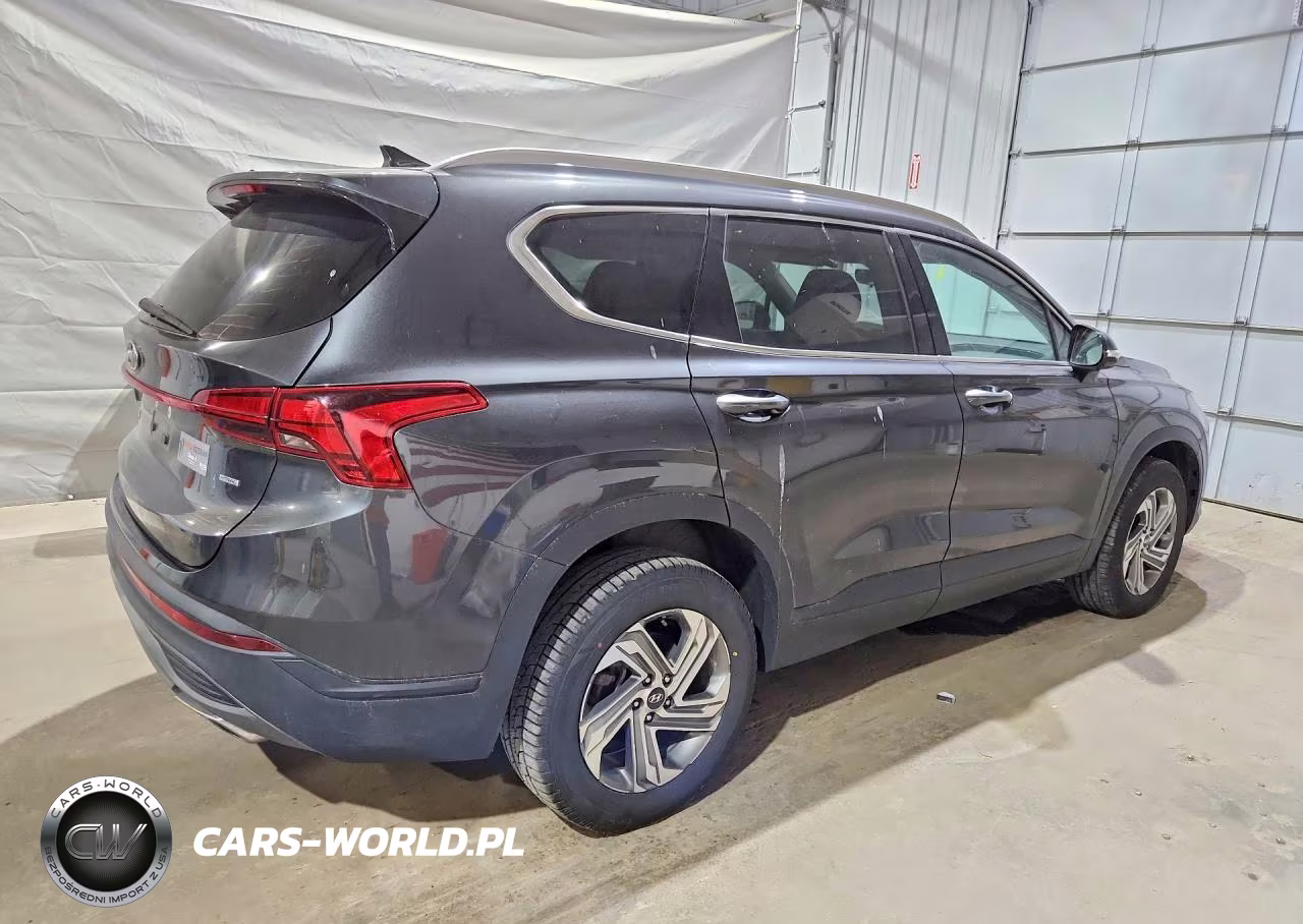 2023 Hyundai Santa Fe Sel VIN:5NMS2DAJ3PH530541 - 3