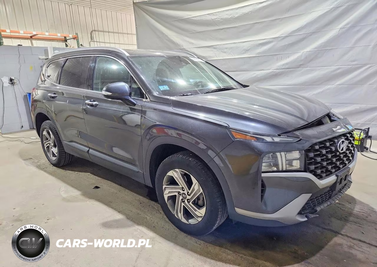 2023 Hyundai Santa Fe Sel VIN:5NMS2DAJ3PH530541 - 4