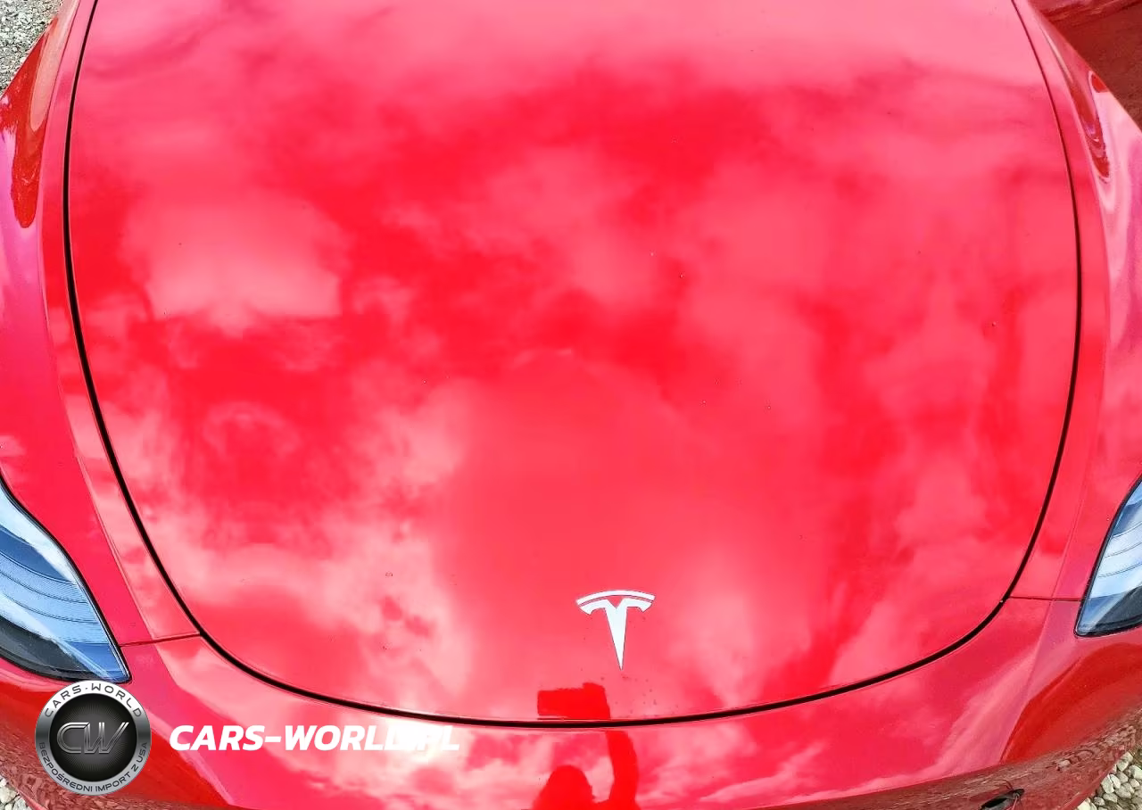 2022 Tesla Model Y VIN:7SAYGDEF8NF464247 - 12