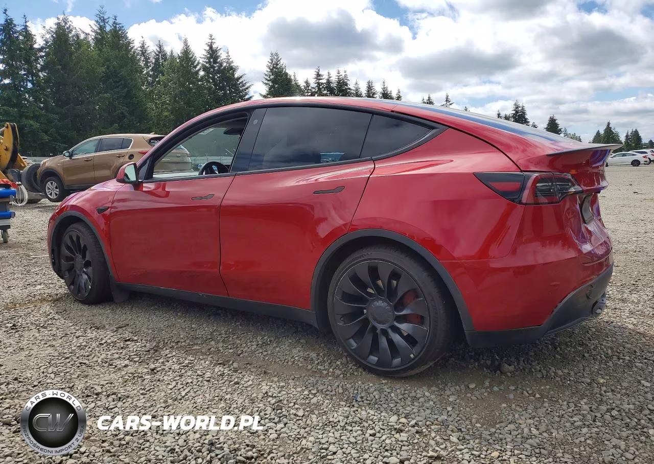 2022 Tesla Model Y VIN:7SAYGDEF8NF464247 - 2