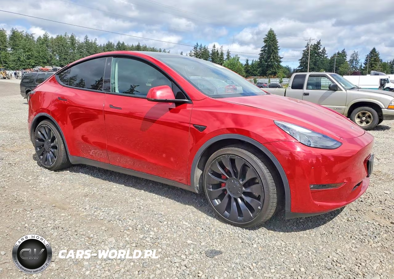 2022 Tesla Model Y VIN:7SAYGDEF8NF464247 - 4