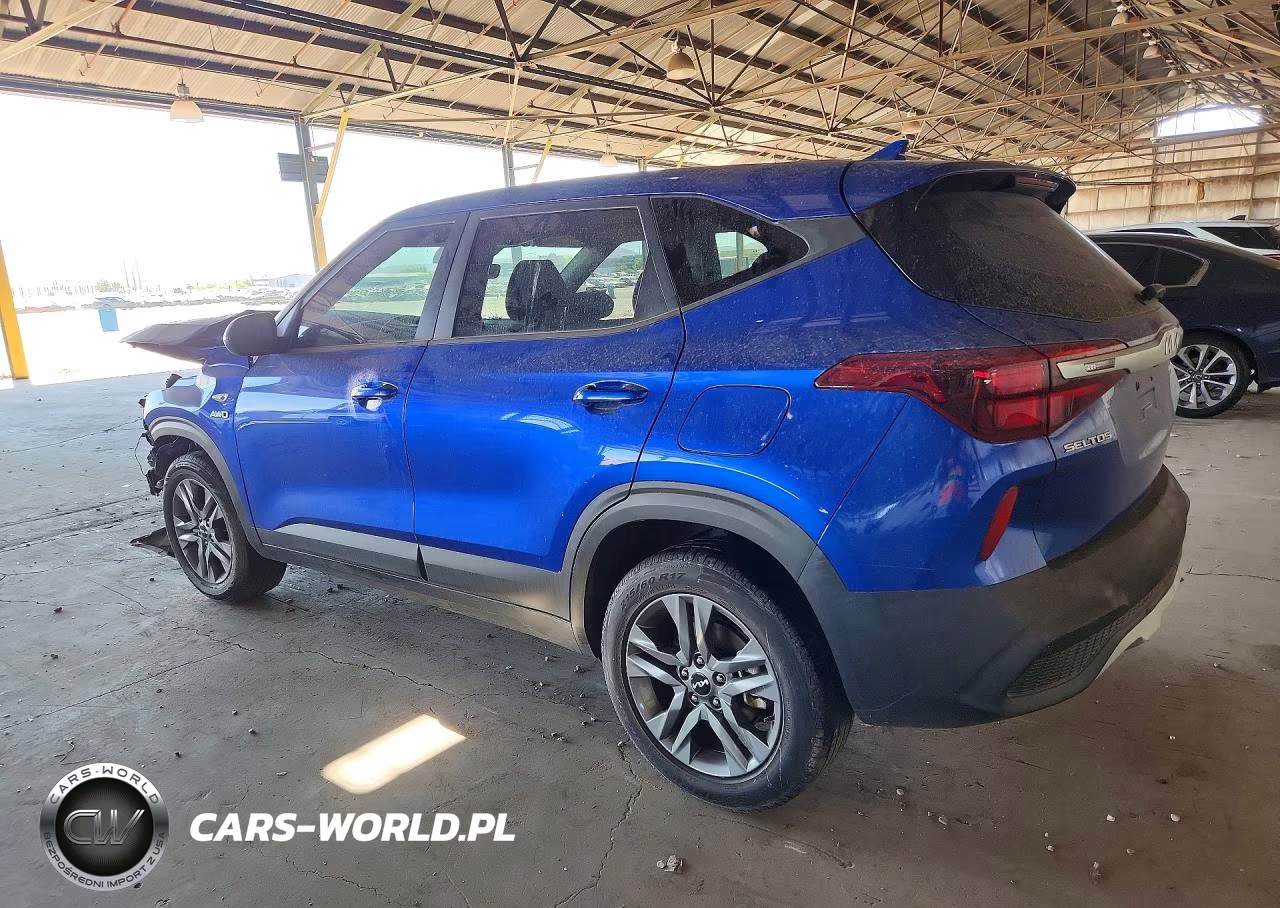 2023 Kia Seltos Lx VIN:KNDEPCAA5P7362496 - 2