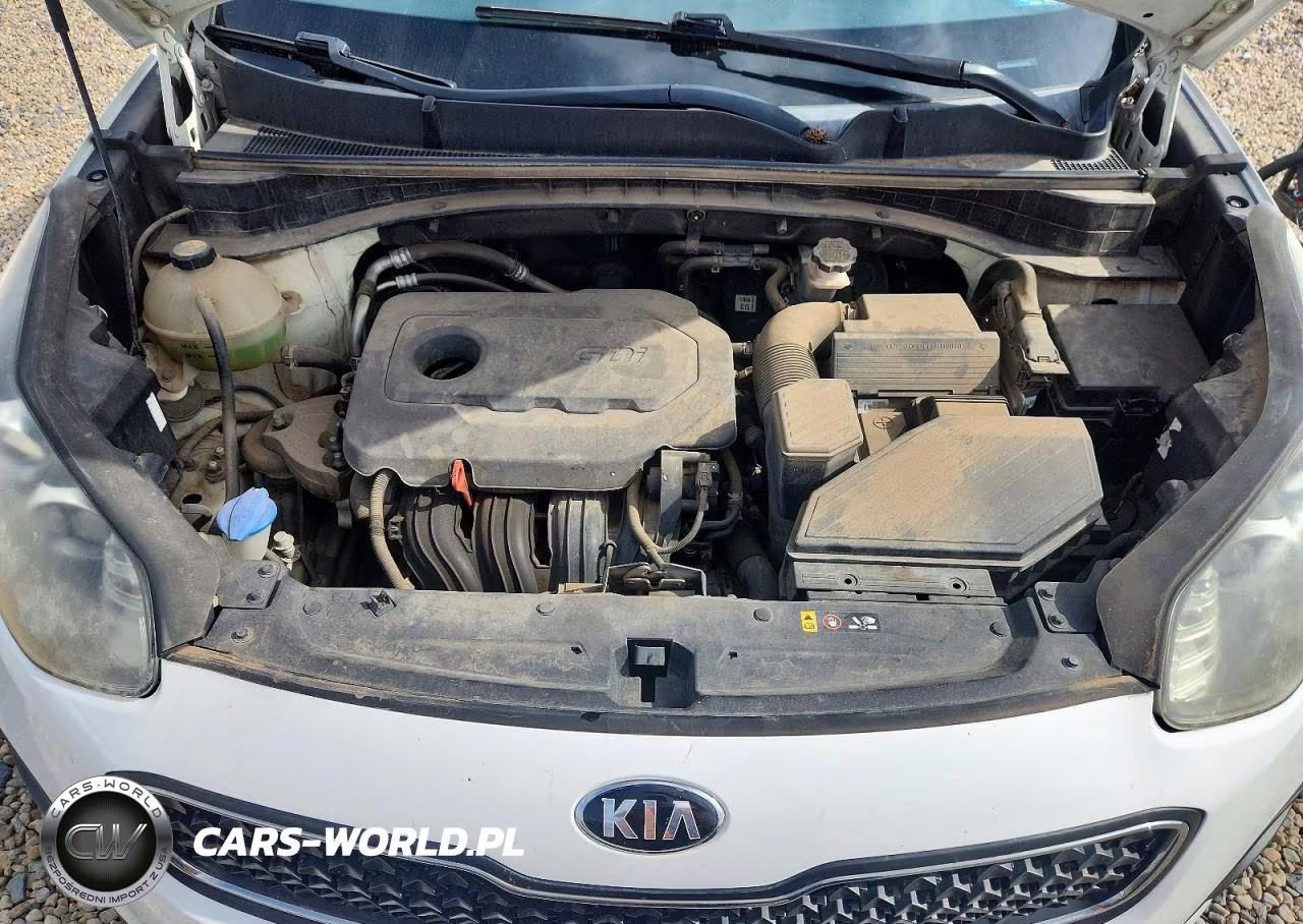 2017 Kia Sportage Lx VIN:KNDPM3ACXH7068953 - 12