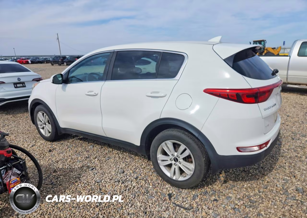 2017 Kia Sportage Lx VIN:KNDPM3ACXH7068953 - 2