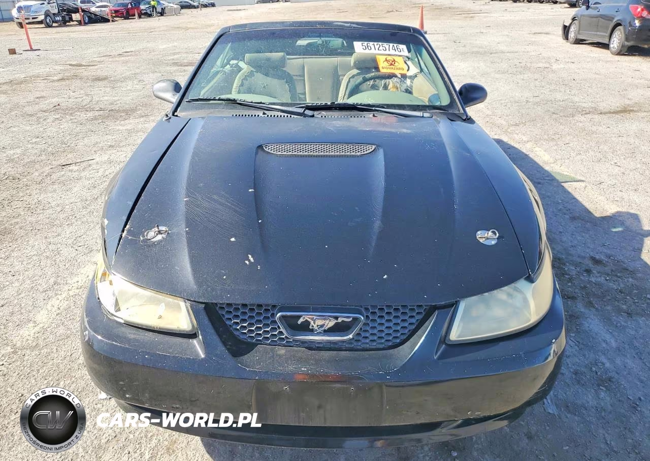 2000 Ford Mustang VIN:1FAFP4449YF204966 - 5