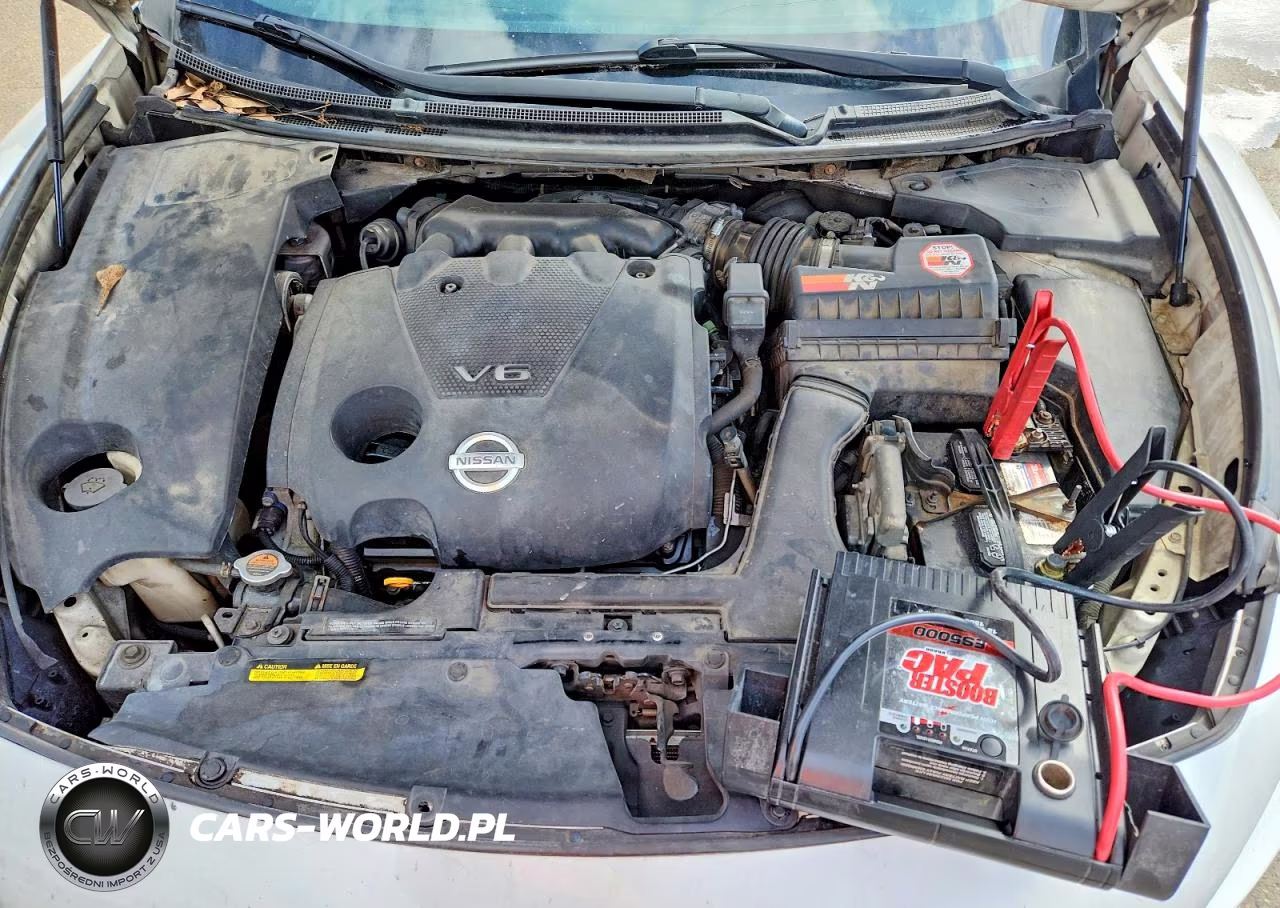 2009 Nissan Maxima 3.5 S VIN:1N4AA51E79C820005 - 11