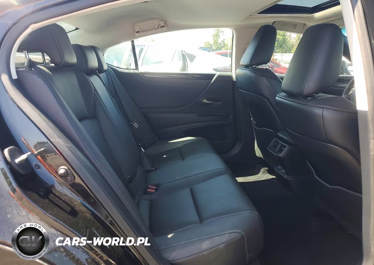 2021 Lexus Es 250 Base VIN:58AD11D12MU004285 - 10