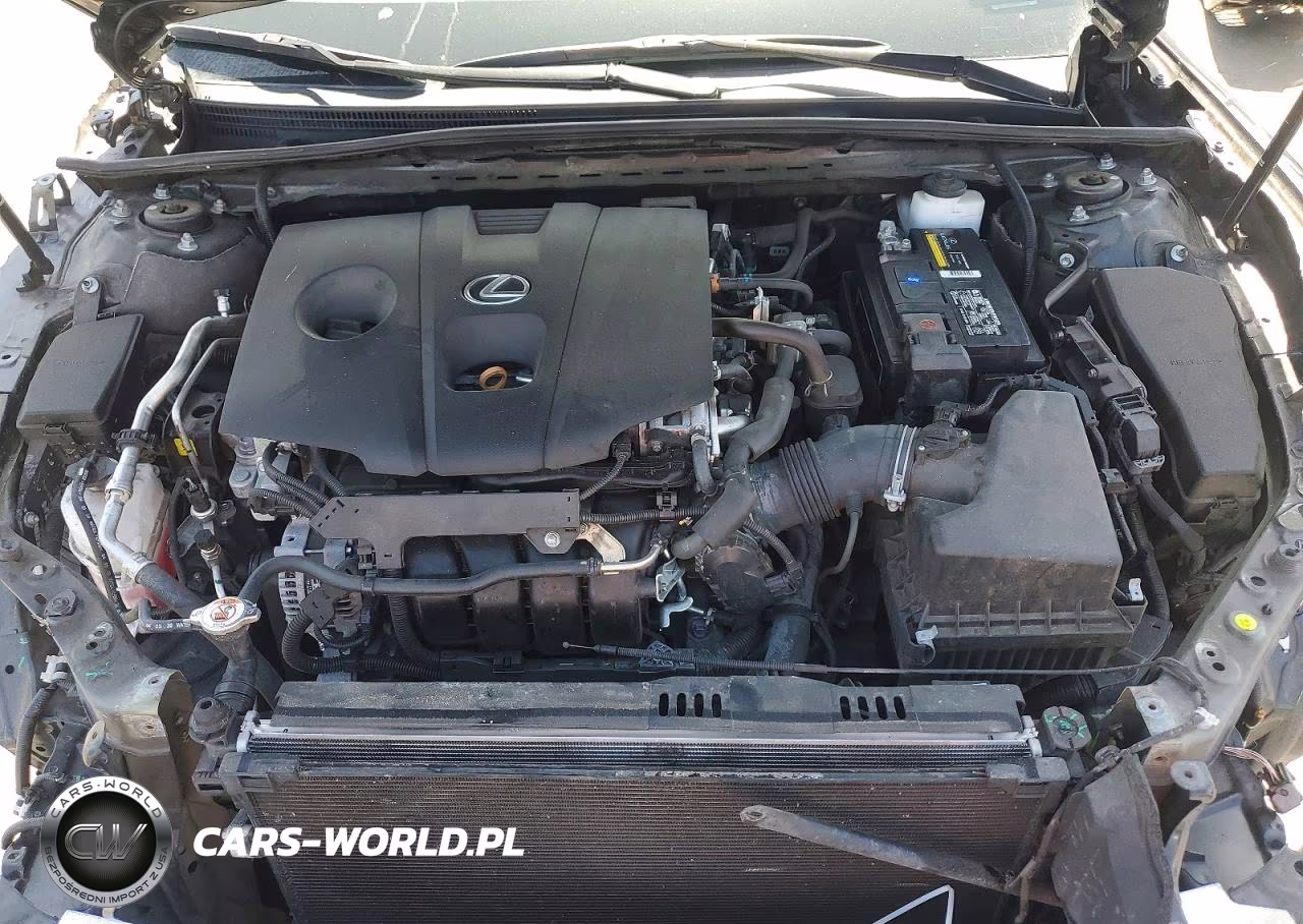 2021 Lexus Es 250 Base VIN:58AD11D12MU004285 - 11