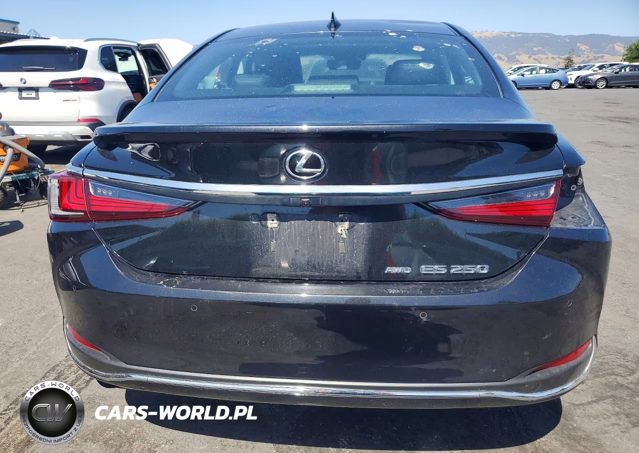 2021 Lexus Es 250 Base VIN:58AD11D12MU004285 - 6