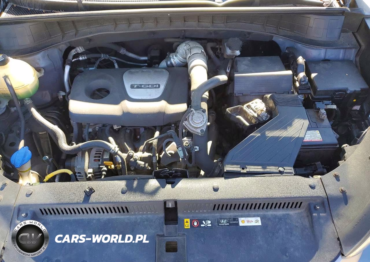 2017 Hyundai Tucson Eco VIN:KM8J3CA25HU421192 - 12