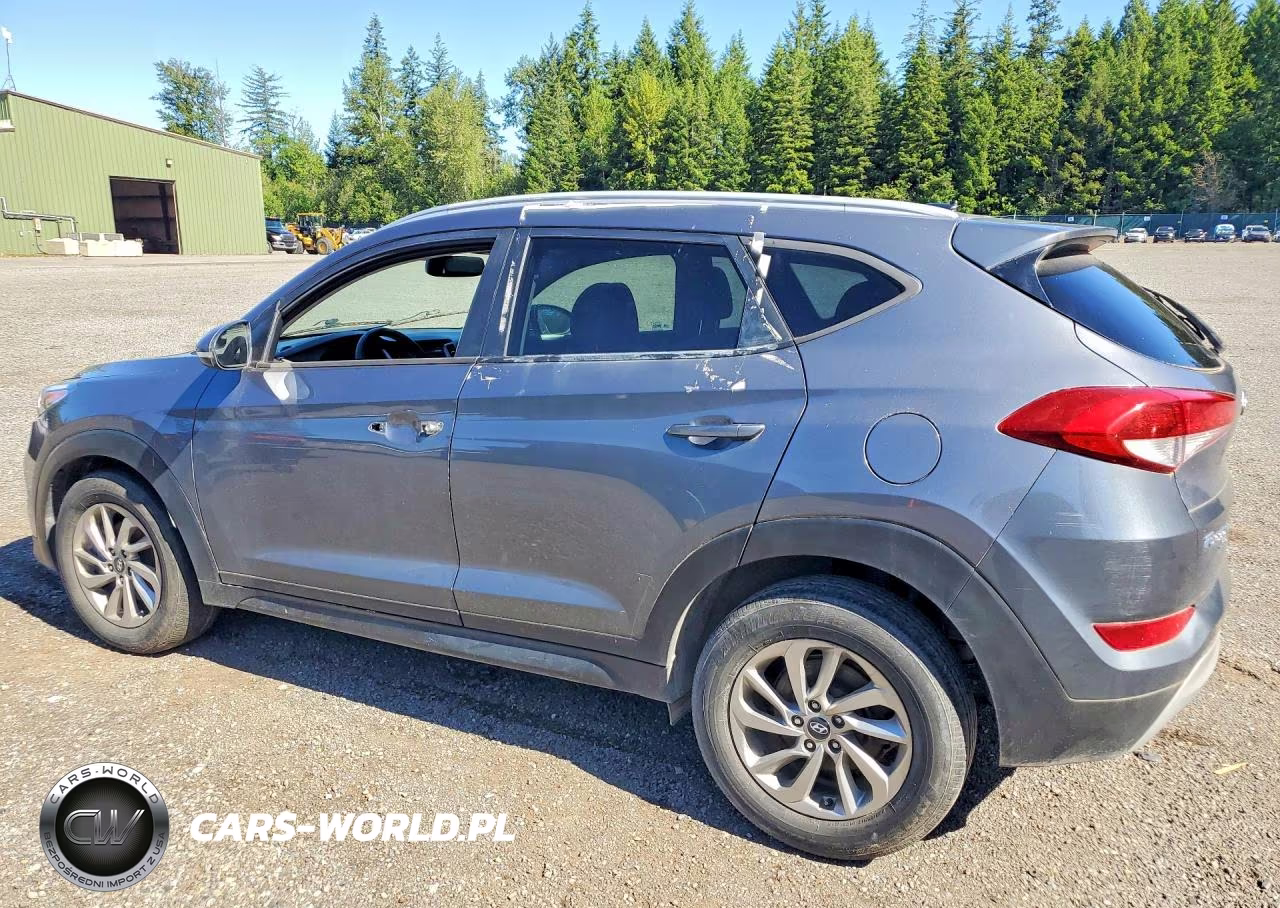 2017 Hyundai Tucson Eco VIN:KM8J3CA25HU421192 - 2