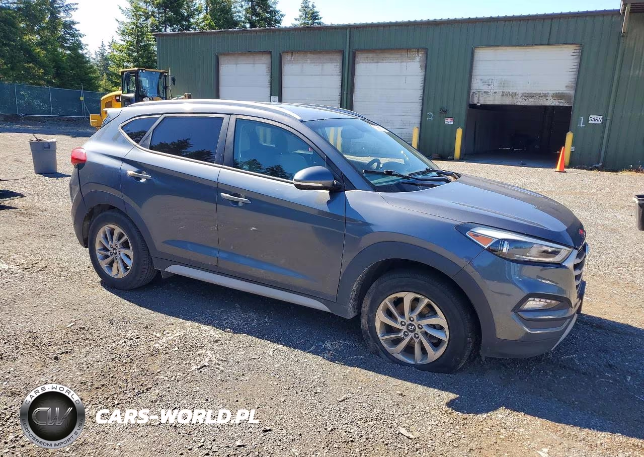 2017 Hyundai Tucson Eco VIN:KM8J3CA25HU421192 - 4
