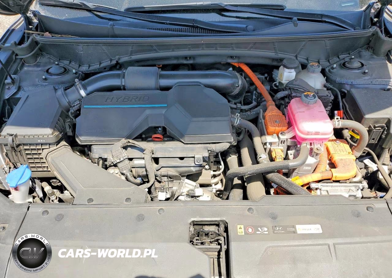 2024 Hyundai Tucson Sel Convenience VIN:KM8JCCD11RU152161 - 12