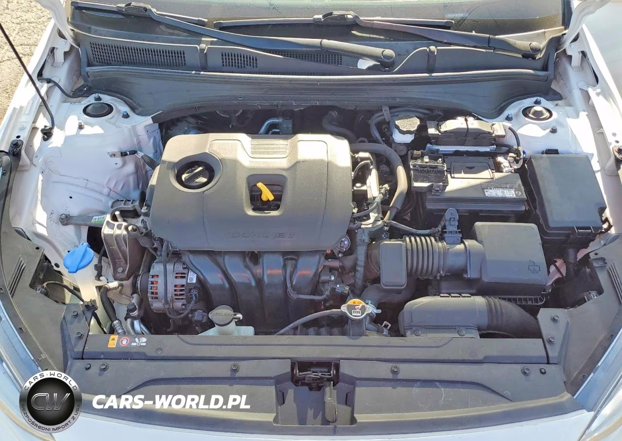 2021 Kia Forte Lxs VIN:3KPF24AD6ME349609 - 11