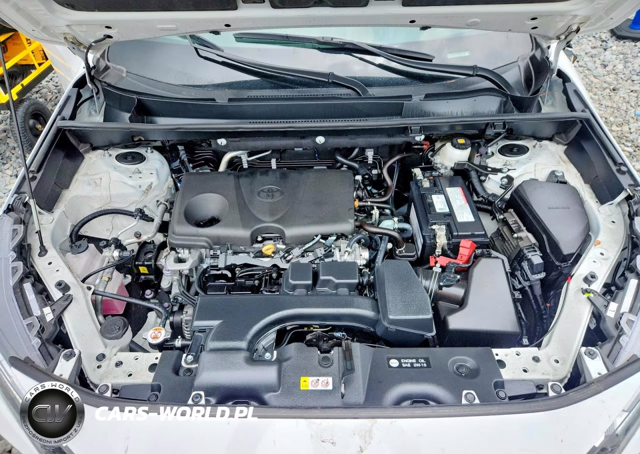 2025 Toyota Rav4 Le VIN:2T3H1RFV6SC314629 - 12