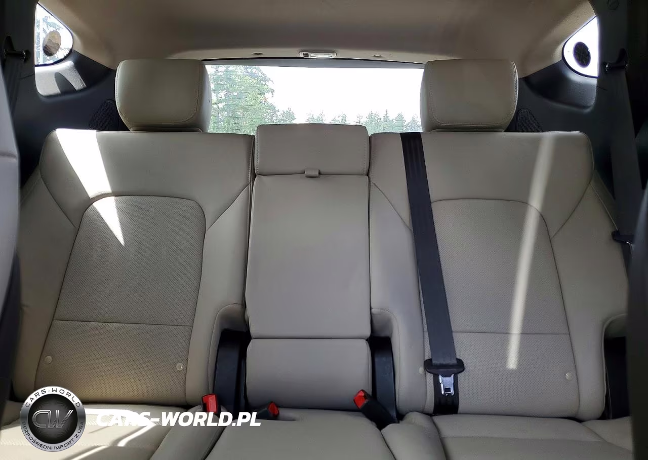 2017 Hyundai Santa Fe Sport 2.0T Ultimate VIN:5XYZWDLA1HG498801 - 10