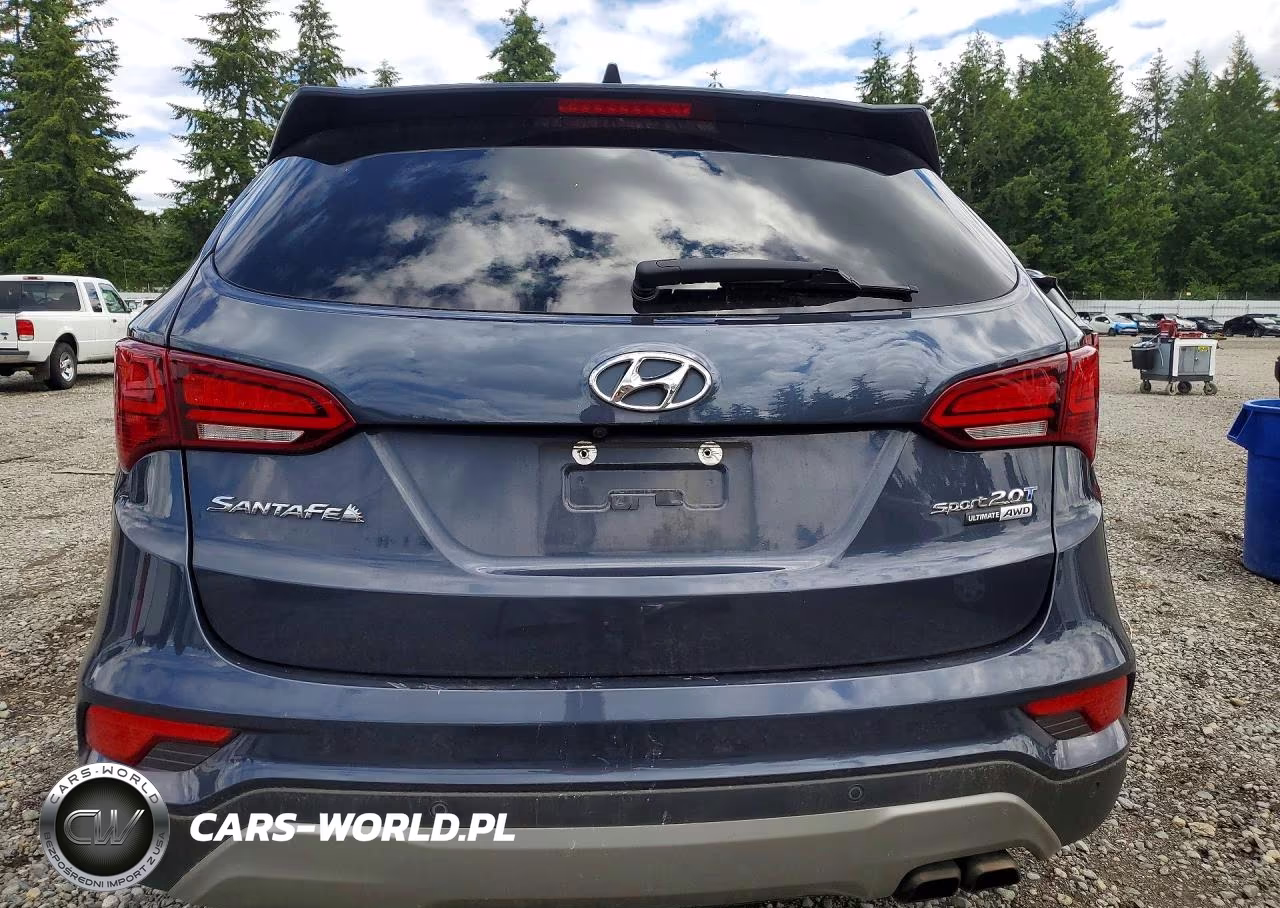 2017 Hyundai Santa Fe Sport 2.0T Ultimate VIN:5XYZWDLA1HG498801 - 6