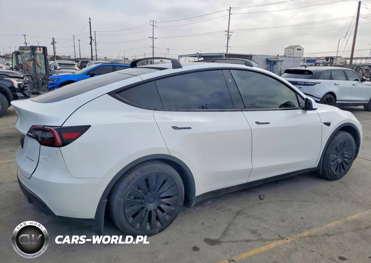 2023 Tesla Model Y VIN:7SAYGAEE1PF881184 - 3
