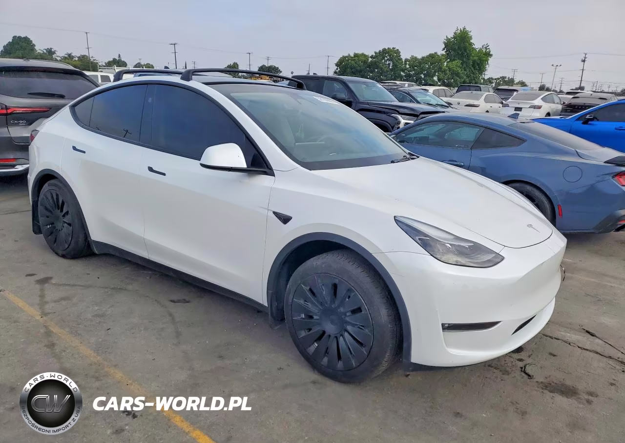2023 Tesla Model Y VIN:7SAYGAEE1PF881184 - 4