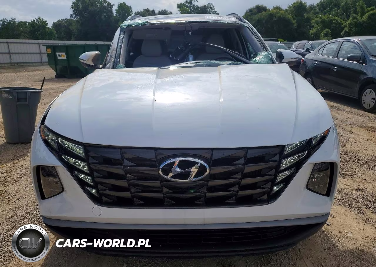 2024 Hyundai Tucson Sel Convenience VIN:KM8JCCD16RU171305 - 5