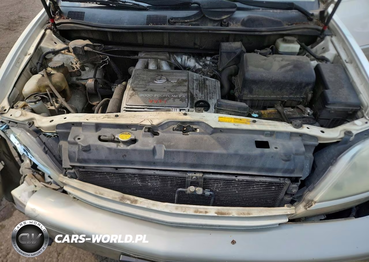 2001 Lexus Rx 300 VIN:JTJHF10U910166851 - 11