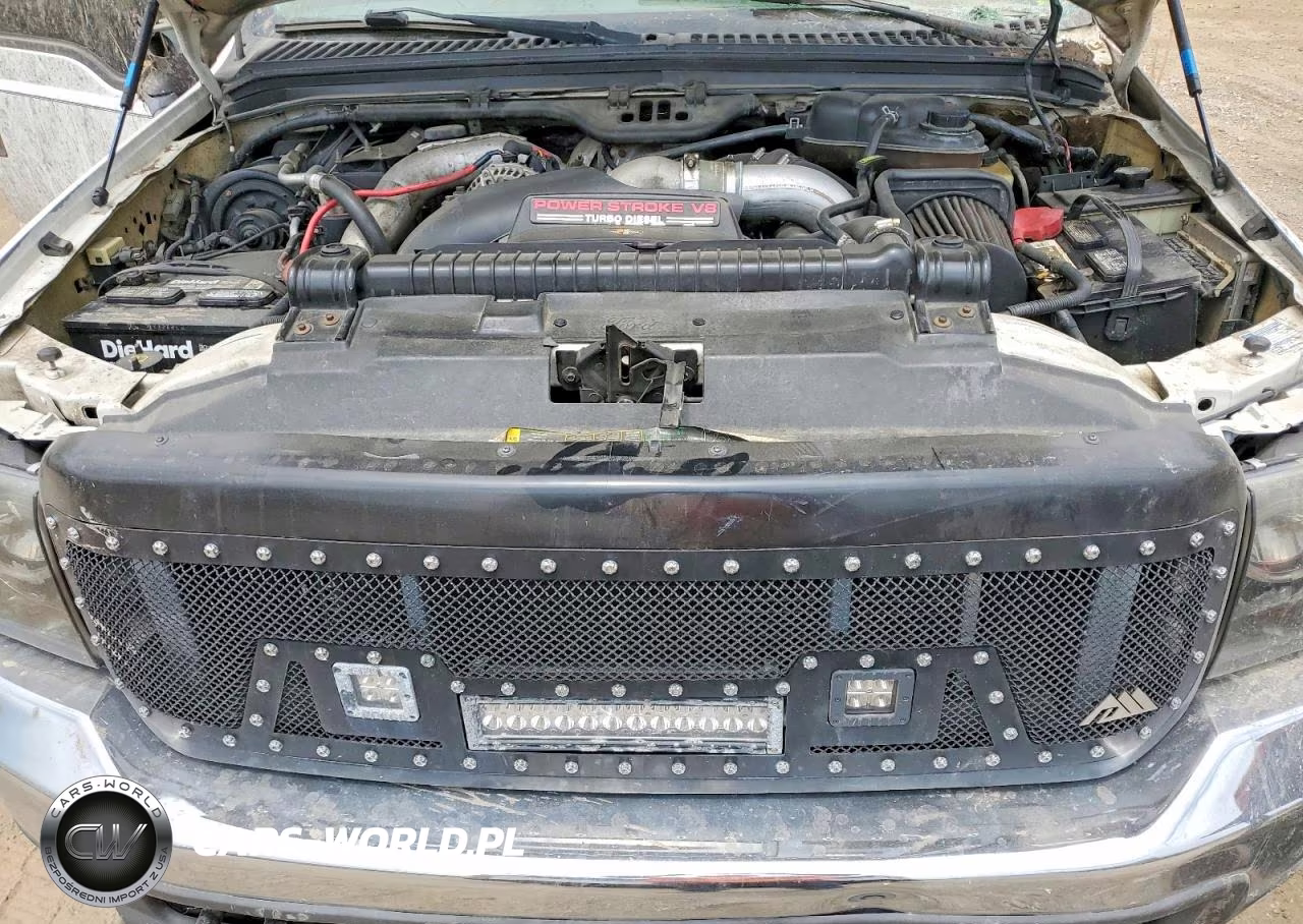 2003 Ford F250 Super Duty VIN:1FTNX21P23EB54905 - 11